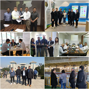 중국 초본 <span class=keywords><strong>astragalus</strong></span> membranaceus <span class=keywords><strong>astragalus</strong></span> 뿌리 추출물 <span class=keywords><strong>astragalus</strong></span> 다당류 - Product Image 2