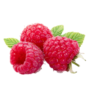 Health way Supply Lebensmittel qualität Natürlicher roter Himbeer-Extrakt Beste rote Himbeere - Product Image 3