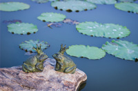 Artisanat métallique de haute qualité, style européen, grenouille du roi en fonte, décoration de jardin et de cour, ornements pour la maison, vente en gros