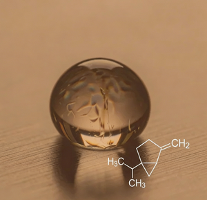 กลิ่นซาบิเนนสดชื่นเผ็ดร้อน ผสมผสานกลิ่นสมุนไพรและผลไม้ตระกูลส้ม เพื่อเพิ่มความหอมสดชื่นและรสชาติที่สมบูรณ์แบบ - Product Image 1