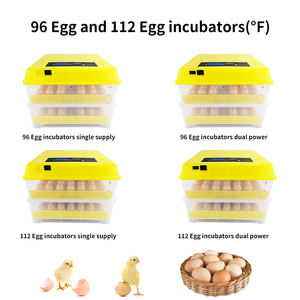 L'usine fournit directement l'incubateur incubateur d'<span class=keywords><strong>oeufs</strong></span> de poule 36 <span class=keywords><strong>oeufs</strong></span> Machine à couver ferme CE accessoires de moteur pour incubateur d'<span class=keywords><strong>oeufs</strong></span> - Product Image 2