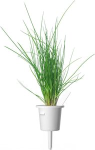 Click Grow Modern Minimalist Smart Garden cipollina baccelli per piante decorazioni per <span class=keywords><strong>la</strong></span> casa da appendere in bambù per lo Shopping all'aperto - Product Image 5