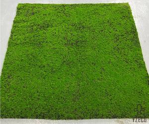 Vente chaude Verdissement Maison Jardin Décoration Simulation Artificielle Pelouse <span class=keywords><strong>Lichen</strong></span> Herbe Écorces - Product Image 3