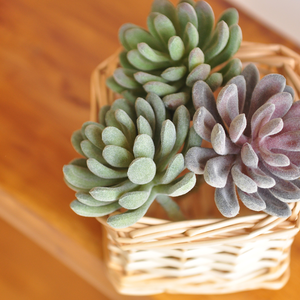 <span class=keywords><strong>Piante</strong></span> succulente <span class=keywords><strong>artificiali</strong></span>, <span class=keywords><strong>piante</strong></span> grasse finte <span class=keywords><strong>realistiche</strong></span> per la decorazione <span class=keywords><strong>da</strong></span> ufficio per la scrivania a casa verde - Product Image 4