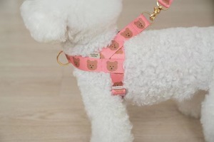 Conjunto de Arnés para Perro y Gato, Collar y Correa Ajustables, Arnés para Mascotas para Paseos al Aire Libre - Product Image 3