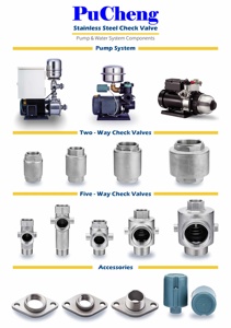 Spring Check Valve SUS304 BSP Threaded Backflow Preventer 1.25" Stainless Steel Pipeline Water - Product Image 6