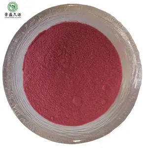 Fornitura del produttore polvere di succo di radice di barbabietola rossa essiccata a spruzzo con campioni gratuiti estratto di barbabietola in polvere