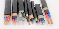 Cable Concéntrico de Aluminio Trenzado 3x6AWG con Aislamiento XLPE y Cubierta de PVC para Instalación Aérea