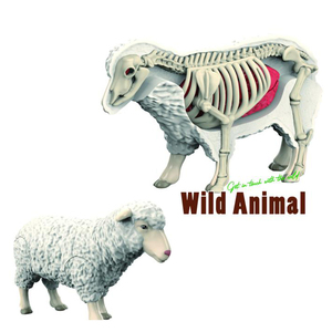 Kit de jouets scientifiques bricolage Offre Spéciale pour tous Puzzle 3D ensemble d'animaux sauvages avec organes d'anatomie en plastique <span class=keywords><strong>jeu</strong></span> de squelette pour enfants - Product Image 2