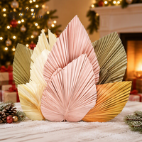 HFlora Factory Vente en gros 40x24cm Fleurs séchées naturelles originales Feuilles de palmier réelles pour la décoration de la maison, la Saint-Valentin et les remises de diplômes