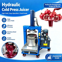 Industriële hydraulische persmachine voor fruit- en groentesap extractie en ontwatering