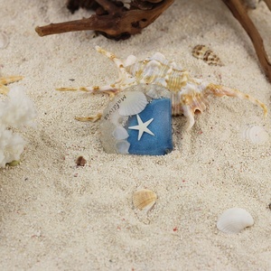 Venta caliente imán de nevera decoración de conchas marinas espécimen cangrejo estrella de mar playa recuerdo resina modelo decoración del hogar sensación de mar - Product Image 5