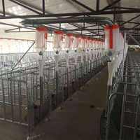 Équipement d'alimentation automatique de type chaîne GREAT FARM pour les élevages porcins, entraîné par moteur, facilitant l'automatisation de la distribution des aliments