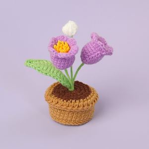 <b>Beginner</b> Crochet Potted Flower <b>Kit</b> for Adults DIY Crochet with English Instructions for Christmas Halloween Easter Occasions - Product Image 4