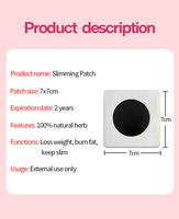 Personnalisation en usine Patch détox amincissant pour le ventre naturel à base de plantes Patch amincissant pour les bras