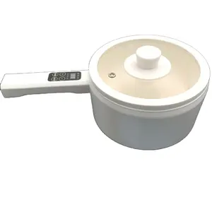 Elektrische Kleine Fornuis Multifunctionele Roestvrijstalen Mini Fornuis Slow Cooker Pot