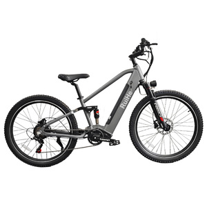 Vélo Électrique VTT Ruihe Y6 Neuf avec Pneus Larges, Vélo de Commutation 26 Pouces pour Femmes, Vélo Électrique Y6, E-bike, Fat Tire - Product Image 3