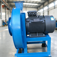 Ventilateur/Extracteur Centrifuge Industriel DF avec Lames en Acier Inoxydable, Montage Mural, Moteur AC/DC 380V/220V, Personnalisable OEM