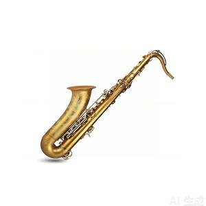 <span class=keywords><strong>Saxophone</strong></span> <span class=keywords><strong>ténor</strong></span> professionnel Bb Eastern Music TS310DJ, entièrement martelé à la main, finition <span class=keywords><strong>vintage</strong></span> satinée or mat, gravé à la main - Product Image 4