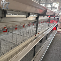 Cage à poulettes automatique de type H en acier galvanisé à haute efficacité, neuve pour l'élevage avicole
