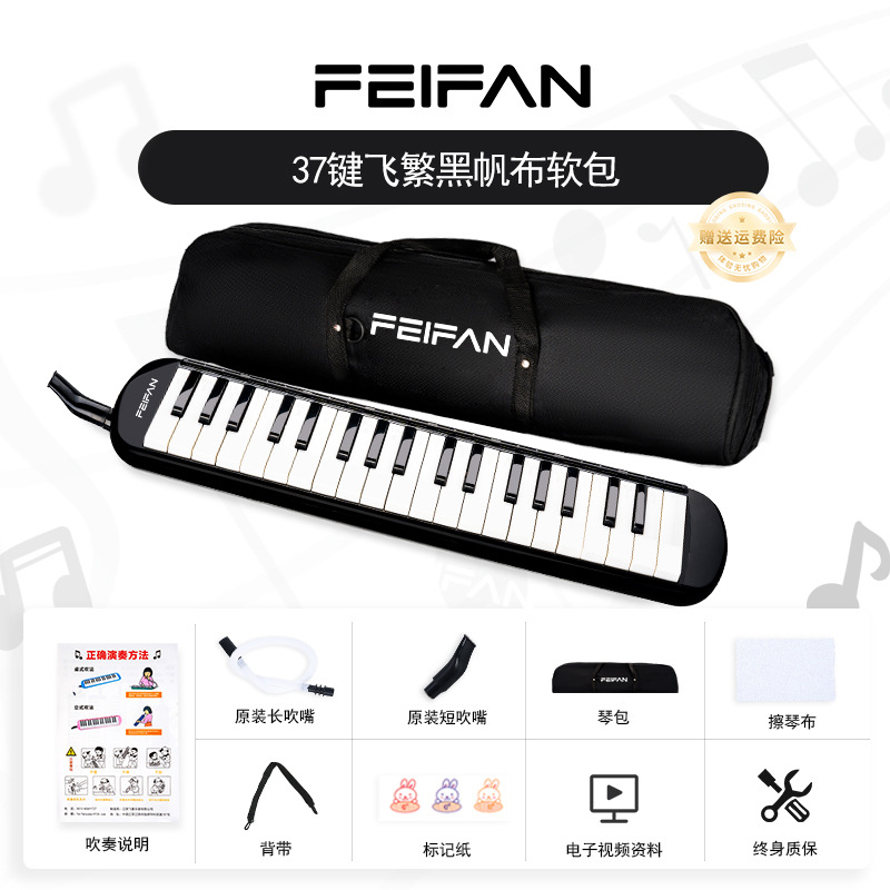 Modèle de base soft-pack noir 37 touches