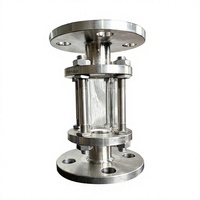 Jauge de niveau transparente en acier inoxydable avec visière en verre borosilicaté PN16 DN100 pour la surveillance des conduites