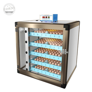 Máy Ấp Trứng Gà 12V 220V, Máy Ấp Trứng Gà Tốc Độ Nở Cao Tự Động - Product Image 5