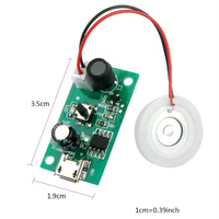 Module d'humidification par atomisation USB 5V Mini pour incubation
