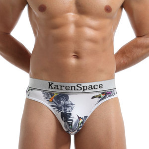 Vente flash : Sous-vêtements sexy pour hommes, caleçons en polyamide respirant à taille basse, pour hommes gays - Product Image 4