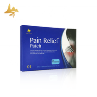 Fournisseur chinois grossiste médical magnétique adulte Sport jambe arthrite plâtre chaud froid papier anti-douleur à base de plantes Patch