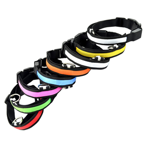 Großhandel Multi color Personal isierte Wasserdichte Hunde halsband Leine Glühende Hunde halsband Leine Led USB Hunde halsband - Product Image 2