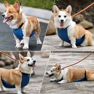 卸売犬服 高級プリントPUペット服 コーギー用 新しい可愛い大型犬用よだれかけ 防水腹巻き 夏春向けスタイリッシュで機能的 - Product Image 6