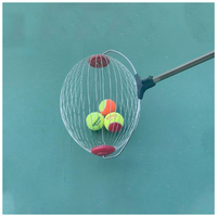 Ramasseur de balles de tennis Collector de balles de tennis Outil de ramassage de balles de tennis pour sports de plein air