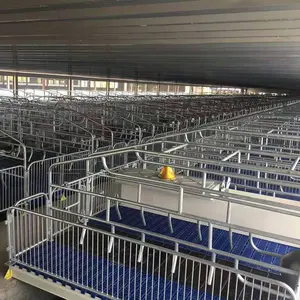 Pig Farm Equipment Breeding Maternity Cages For Sow