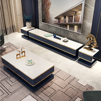 Ensemble de meuble TV et table basse de style luxe léger, meuble de sol de haute qualité, meuble TV simple pour salon