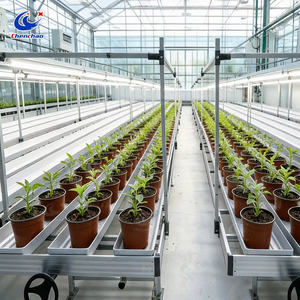 Mesa de Cultivo Hidropónico Vertical con Sistema de Flujo y Reflujo, Banco Rodante Premium para Cultivo Interior - Product Image 4