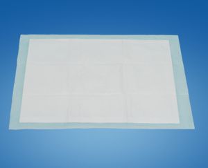 Wee Wee Pad Auslaufsichere Hundetrainingsunterlagen Schnelltrocknende Katzenstreu-Pads Geruchskontrolle Haustier-Trainingsunterlagen Umweltfreundliche Welpenunterlagen - Product Image 1