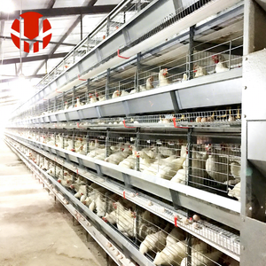 Lồng nuôi gà công nghiệp kiểu H hiệu suất cao, thiết kế mô-đun mở rộng được, dành cho gà đẻ trứng - Product Image 3
