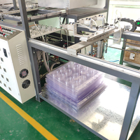 Machine de thermoformage sous vide en plastique pour barquettes à œufs