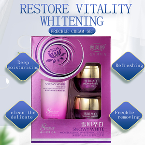 Día Noche Melasma <span class=keywords><strong>Retional</strong></span> Pecas Eliminación Cuidado DE LA PIEL Blanqueamiento Crema facial Set - Product Image 4