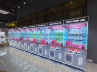Machine à griffes à monnayeur pour peluches avec éclairage LED, machine de jeu d'arcade, prise en charge de la personnalisation OEM ODM