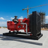 300KW 3-Phasen Industrieller Notstromgenerator Wassergekühlter Motor 50/60Hz Ferngesteuert/Automatischer Start Offener Rahmen Gasgenerator