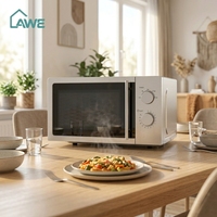 Four à toaster numérique mini 22L - Portable pour camping-car/voiture, en acier inoxydable, multifonction, pour cuire, griller et faire frire à l'air