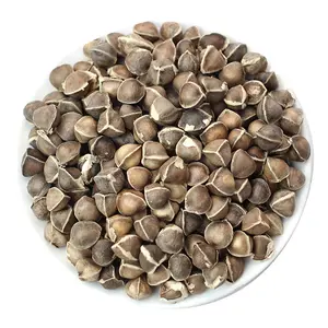 Bán hàng của chất lượng cao Moringa hạt giống Trọng lượng giảm cân nhà máy Trà Moringa hạt giống