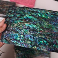 Feuille de coquille d'ormeau naturel de Nouvelle-Zélande conception de bricolage personnalisée pour la décoration de la maison ou les lunettes de soleil Style d'amour unique en nacre