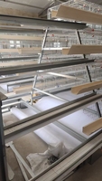 Équipement d'élevage avicole automatique, collecteur d'œufs, mangeoire, nettoyeur de fumier - Cage galvanisée à chaud à 4 étages pour 128 oiseaux, prix bas