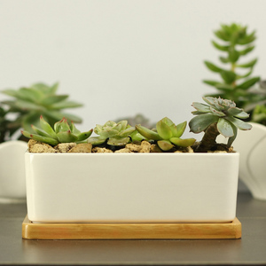VENTE FLASH 2021 - <span class=keywords><strong>Pot</strong></span> de fleurs en céramique blanche <span class=keywords><strong>rectangulaire</strong></span> minimaliste, géométrique, simple et créatif, avec plateau en <span class=keywords><strong>bambou</strong></span>, pour plantes succulentes, décoration d'intérieur - Product Image 2
