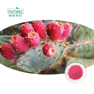 Groothandel Cactusvijg Cactus Poeder Cactusvijg Poeder Cactusvijg Perensap Poeder - Product Image 1