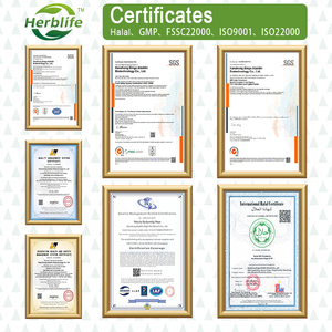 Cápsulas de Panax Ginseng coreanas OEM de etiqueta privada con suplementos de extracto de Ginko Biloba Soporte de energía, memoria y salud cerebral - Product Image 6