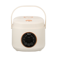 Autocuiseur Électrique Intelligent Multifonctionnel en Gros, Capacité 1.0L-2.8L, Contrôle Numérique, Cuve Antiadhésive, Cuisson Rapide, ODM